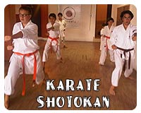 Karate Shotokan