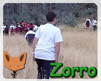 Zorro