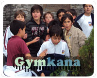 Gymkana