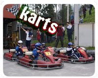 Karts